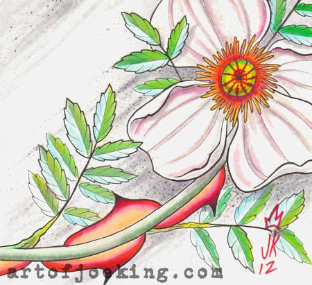 Tattoos - wingthorn rose illustration - 68741